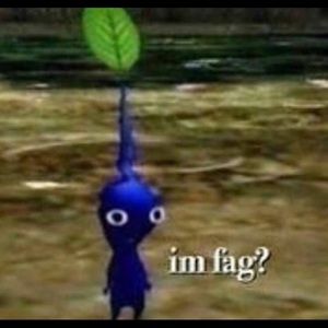 Meet your Posher, Drew